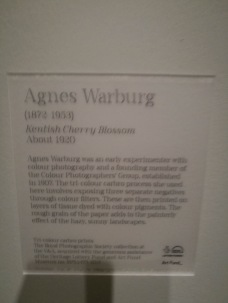 Agnes Warburg