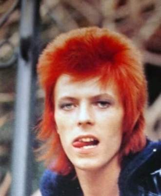 David_Bowie_ziggy_stardust